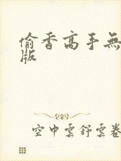 偷香高手无删减版封面