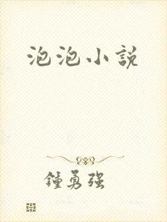 泡泡小说