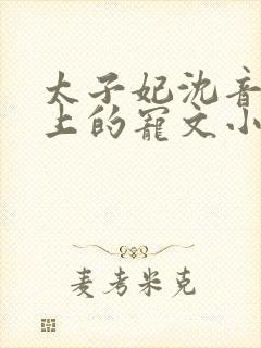 太子妃沈音和皇上的宠文小说