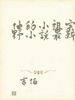 他的小祖宗甜又野小说最新章节