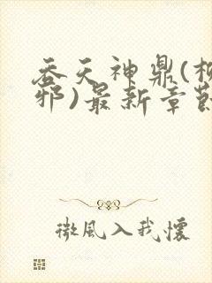 吞天神鼎(柳无邪)最新章节