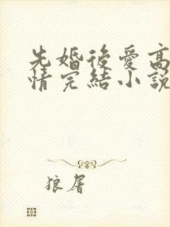 先婚后爱高干言情完结小说