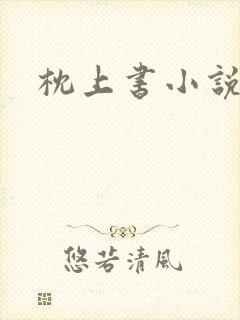 枕上书小说