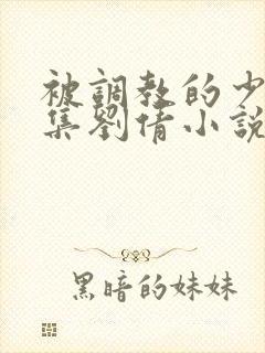 被调教的少妇续集刘倩小说