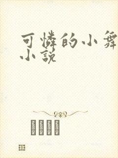可怜的小舞不乐小说