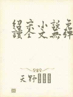 绍宋小说免费阅读全文无弹窗封面