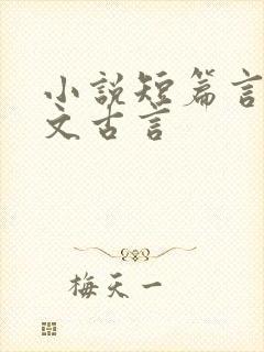小说短篇言情甜文古言