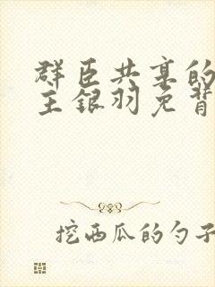 群臣共享的小公主银羽免背刺