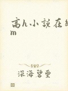 高h小说在线sm