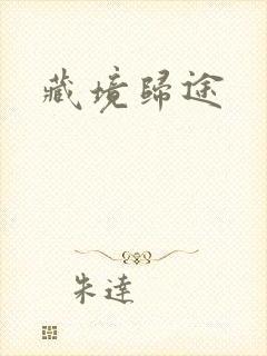藏境归途