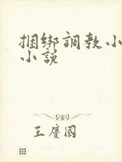捆绑调教小母狗小说封面