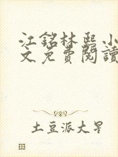 江铭林熙小说全文免费阅读