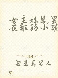 女主姓凤男主叫夜离的小说