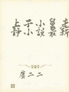 上子小舅老婆赵静小说最新章节封面