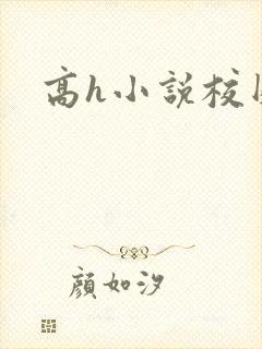 高h小说校园封面