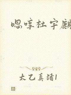 嗯哼杜宇麒