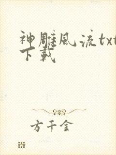 神雕风流txt下载封面