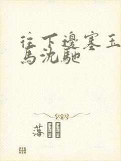 往下边塞玉器骑马沈驰封面