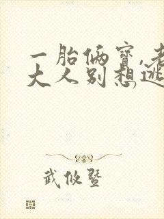 一胎俩宝,老婆大人别想逃小说