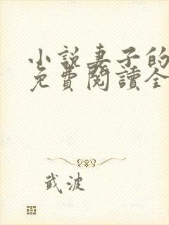 小说妻子的秘密免费阅读全文封面