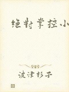 绝对掌控小说
