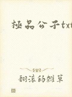 极品公子txt