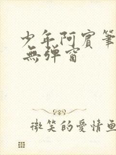 少年阿宾笔趣阁 无弹窗