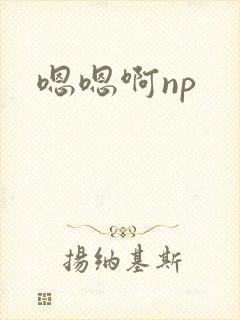 嗯嗯啊np封面