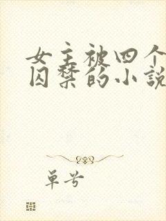 女主被四个病娇囚禁的小说