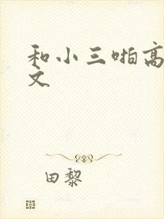 和小三啪高辣h文封面