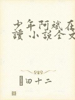 少年阿斌在线阅读 小说全文免费