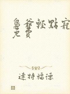 枭爷轻点宠全文免费