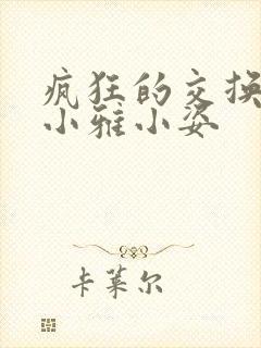 疯狂的交换小静小雅小姿封面