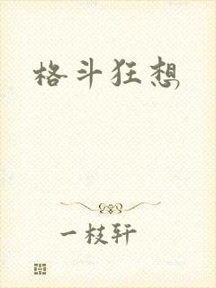 格斗狂想