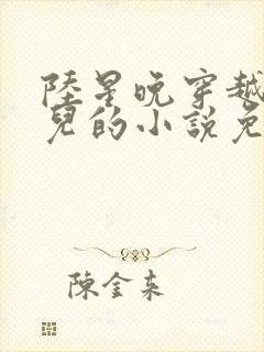 陆星晚穿越成婴儿的小说免费阅读全文