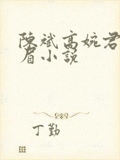 陈斌高婉君赵心眉小说