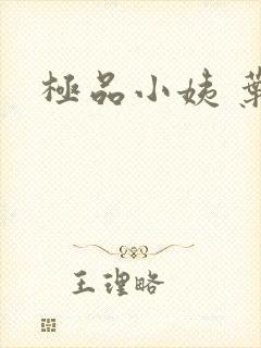 极品小姨 叶凡