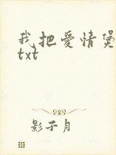 我把爱情煲成汤txt封面