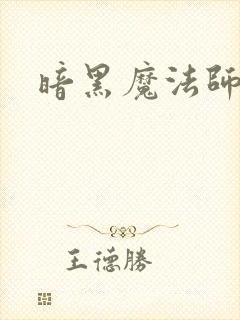 暗黑魔法师封面