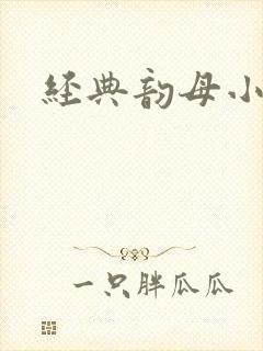经典韵母小说封面