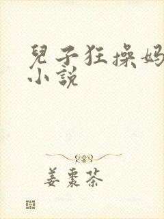 儿子狂操妈妈的小说