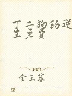 丁二狗的逆袭人生免费
