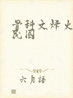 骨科文烽火父女民国