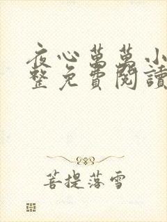 夜心万万小说完整免费阅读全文