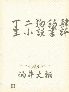 丁二狗的肆意人生小说书评