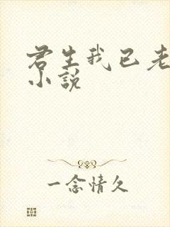 君生我已老类似小说