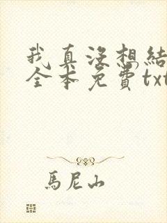 我真没想结婚啊全本免费txt下载