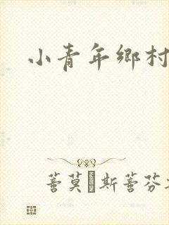 小青年乡村猎艳封面