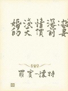 婚浅情深:总裁的天价前妻
