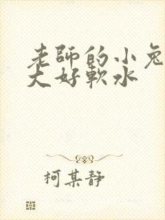 老师的小兔子好大好软水